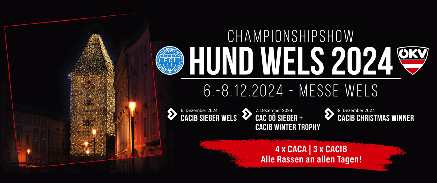 OKV Wels FB neu