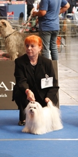 oezk klubschau2011 2