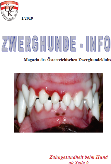 2019 1