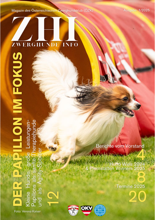 ZHI 01 2025 website